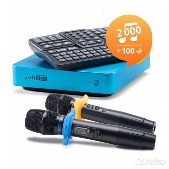 Караоке комплект EvoBox с микрофонами Evolution SE