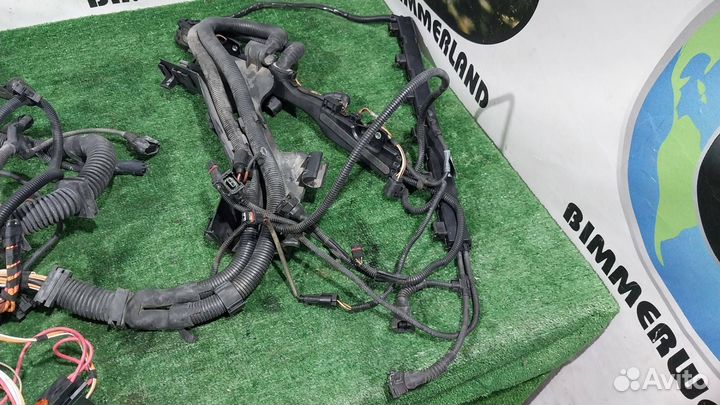 Проводка двигателя BMW 5 E60/E61 E61 2006 8272663