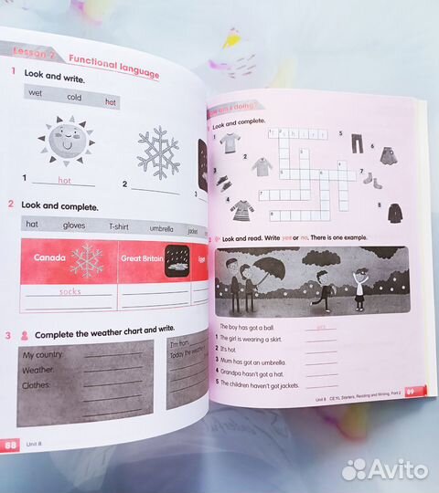 Academy Stars 1 (Pupil's Book+Workbook + Disk)