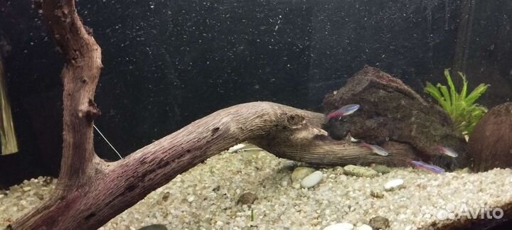 Украшение для аквариума