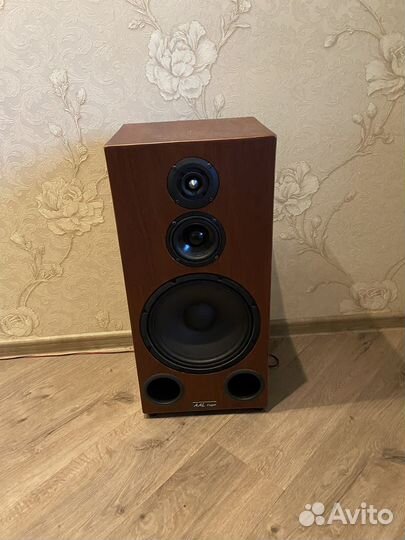 Акустическая система