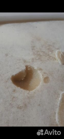 Мед/Мёд Разнотравье Алтайский 2023