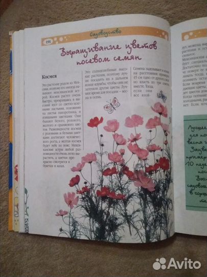 Книга для девочек