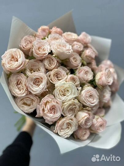 Букет из пионовидной кустовой розы Bombastic