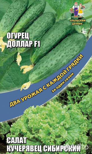 Огурец Доллар F1 + Салат Кучерявец Сибирский