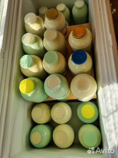 Молоко коровье домашнее