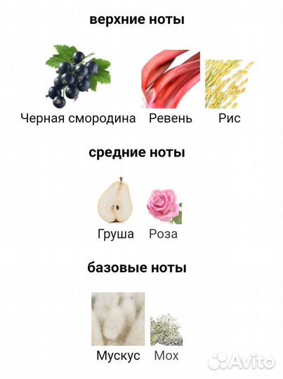 Max Philip Pink, Floral для женщин Распив