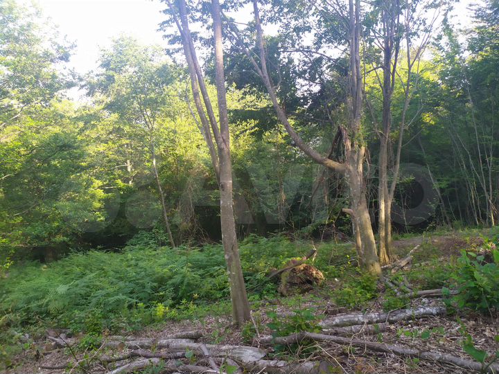 Участок 5 сот. (СНТ, ДНП)