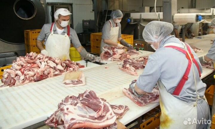 Сотрудники на мясокомбинат Воронеж.область
