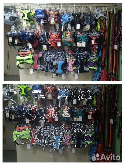 Шлейки, ошейники, поводки