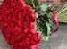 51 Роза, Букеты Цветы Розы 25 101 501 1001