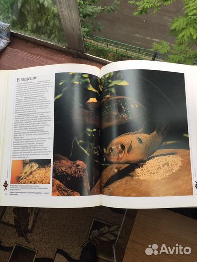 Книга по аквариумистике