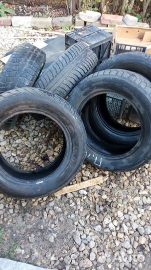 Sava Eskimo Ice 195/65 R15