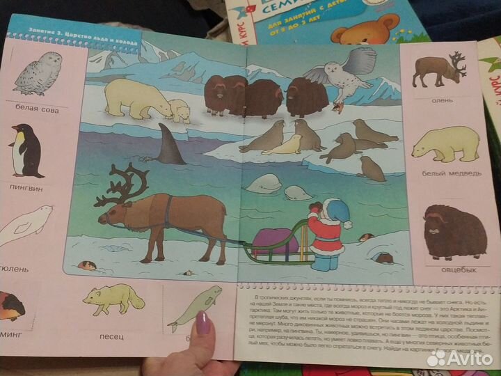 Обучающие курсы для детей (Школа семи гномов)