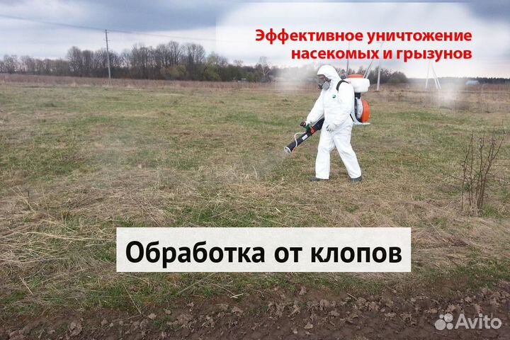 Уничтожение клопов тараканов грызунов плесени