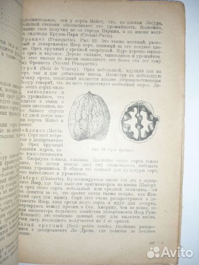 Кичунов Н.И. Орехи и их культура 1931