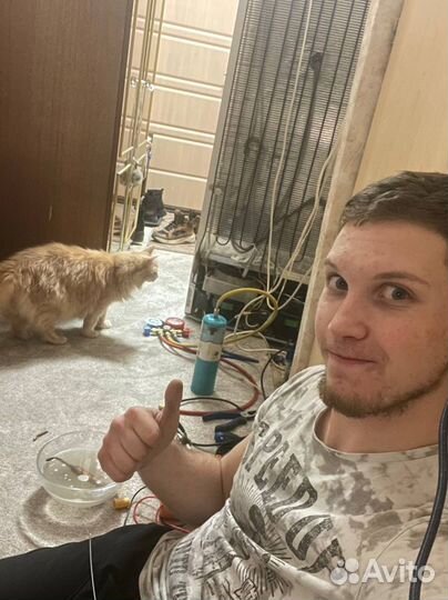 Ремонт стиральных машин и холодильников