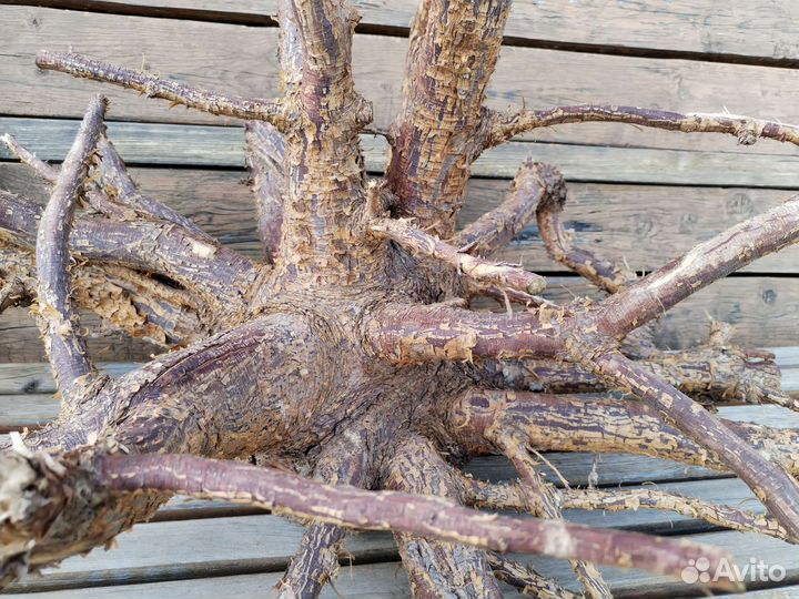 Декор для дома и дачи