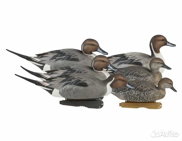 Чучела шилохвости Pro-Grade Pintails (6 шт.)