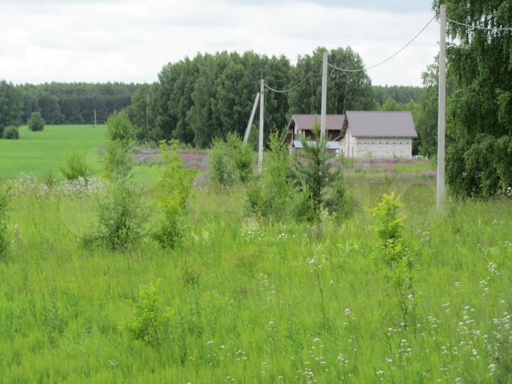 Участок 16 сот. (СНТ, ДНП)