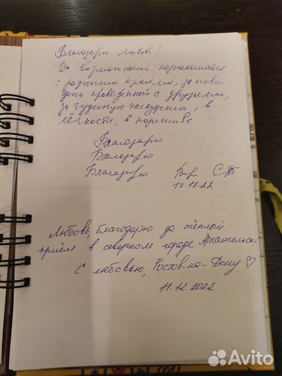 Экскурсии Архангельск.Индивидуальный гид Любовь