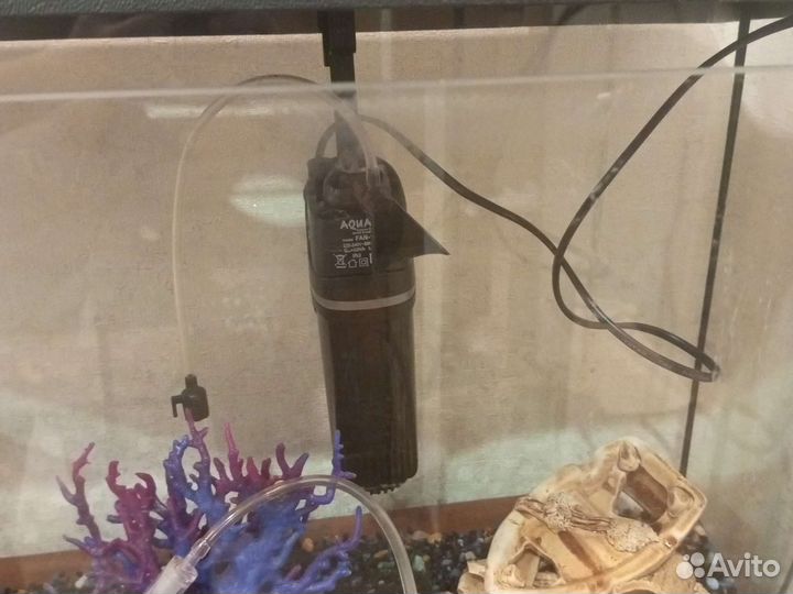 Аквариум