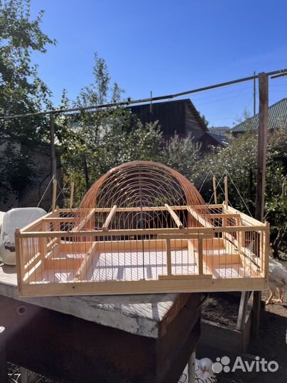 Клетка для птиц ловушка