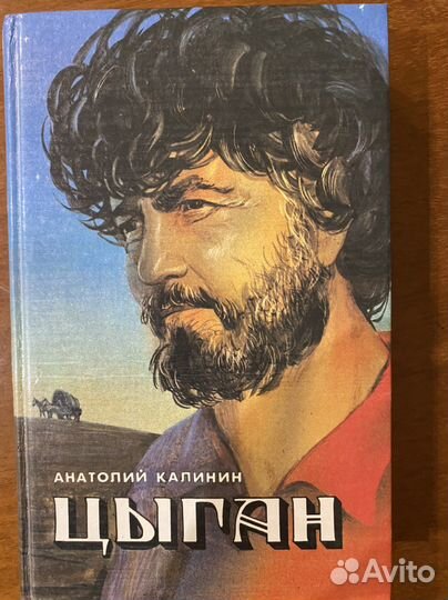Новая книга Цыган, А. Калинин