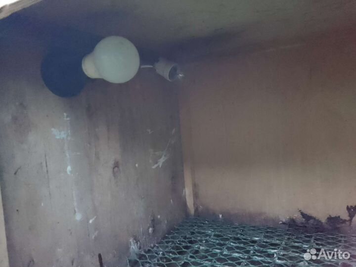 Клетка для птиц бу