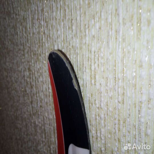 Беговые лыжи