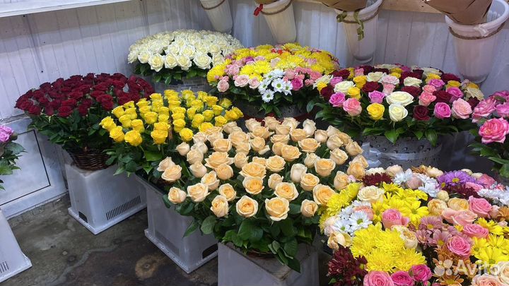 Доставка цветов / Розы