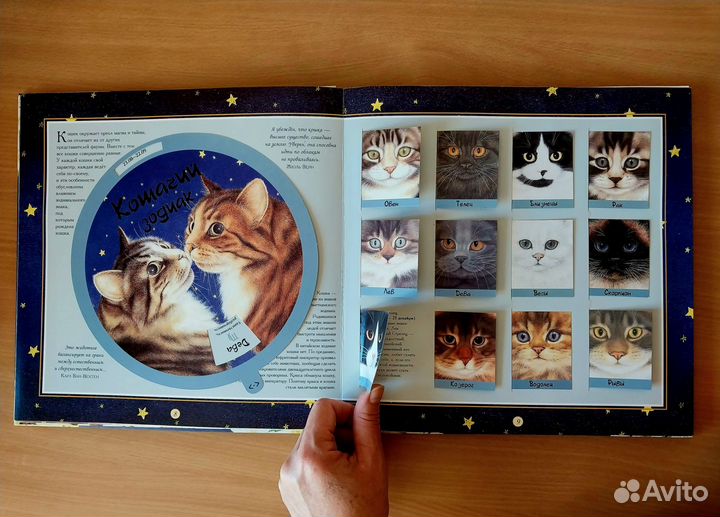 Детские книги, фэнтези, психология, красота