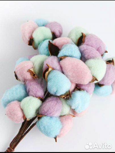 Сухоцветы гепсафила, лагуруса, хлопок