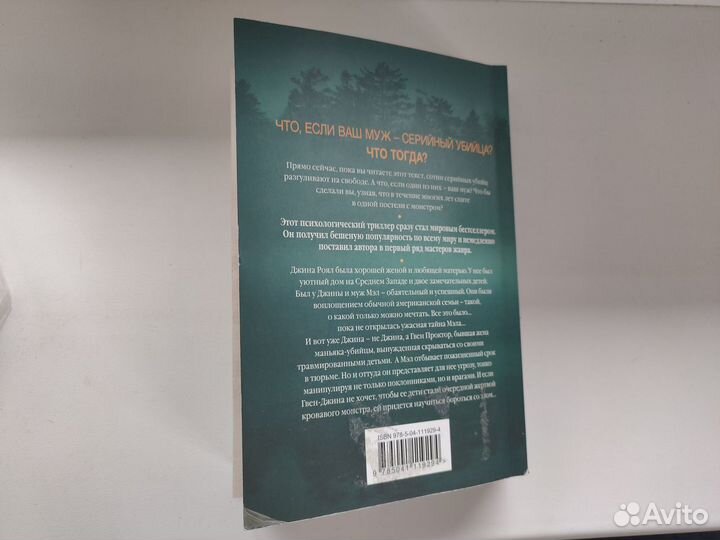 Книга Мёртвое озеро Рейчел Кейн