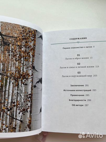 Ники Брантмарк: Что такое лагом Книга