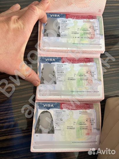 Виза в США (Бот входит в стоимость)