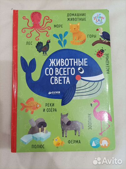 Детские книги с окошками clever / Тони вульф