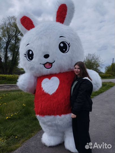 Ростовой белый медведь, аниматор белый мишка