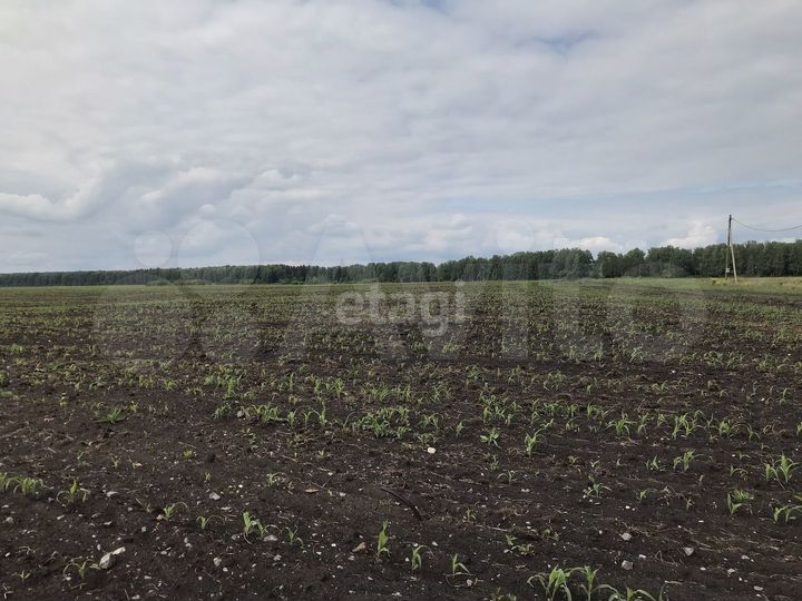 Участок 2,77 га (СНТ, ДНП)