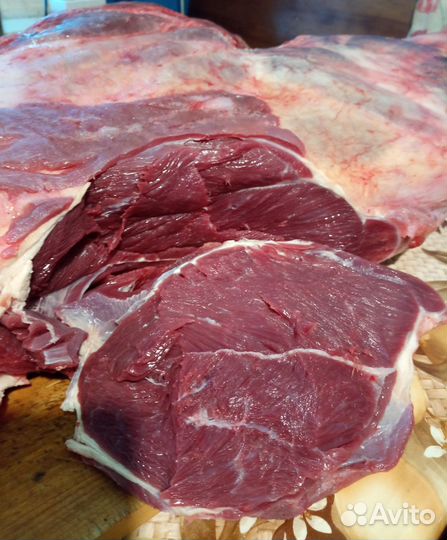 Мясо говядина