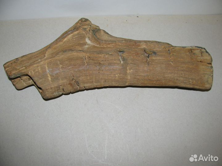 Окаменелое дерево (в коллекцию)