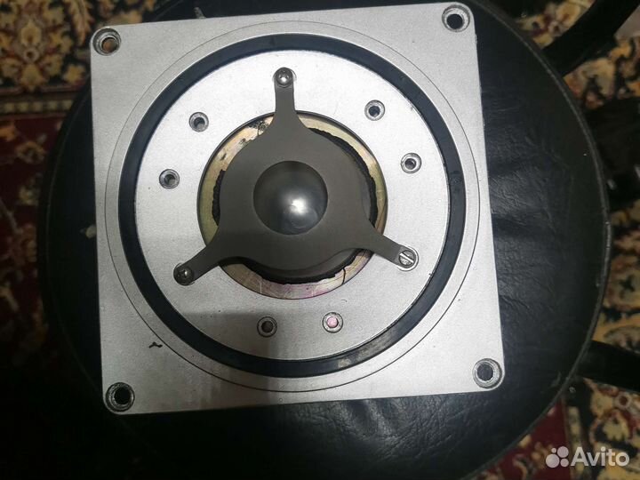 Вч.сч динамики от колонок Электроника 100ас прадас