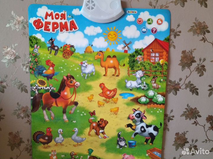 Развивающий плакат