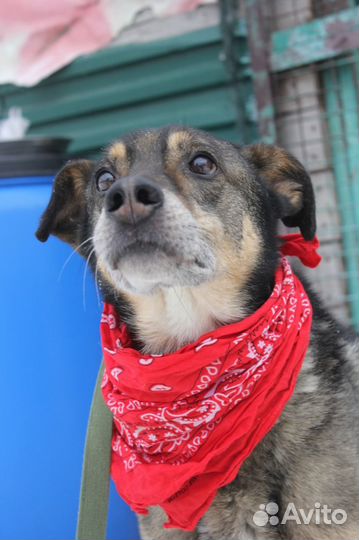 Серхио ищет теплый дом