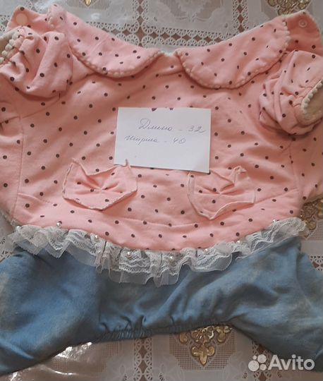 Комбинезон для маленькой собаки девочки