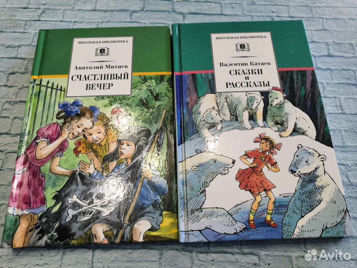 Школьная библиотека, программа. Стрекоза