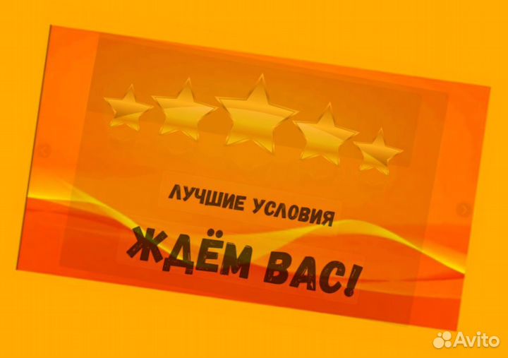 Сортировщик Еженедельный аванс Спецодежда М/Ж