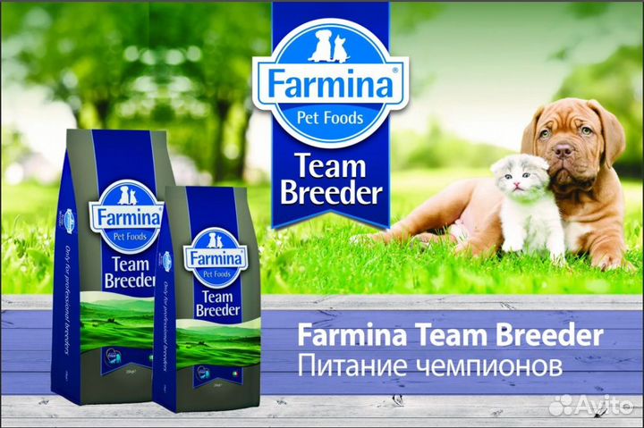 Сухой корм для кошек Farmina 10 кг (Фармина)