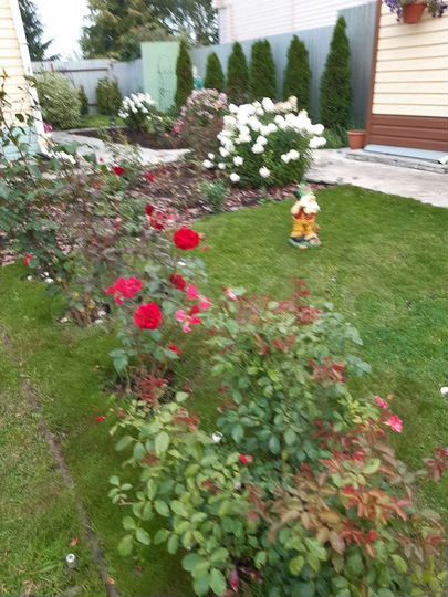 Дача 130 м² на участке 6 сот.