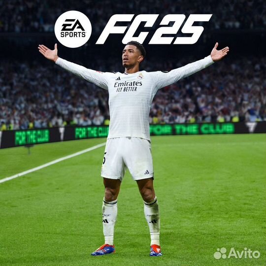 EA Sports FC 25 / steam